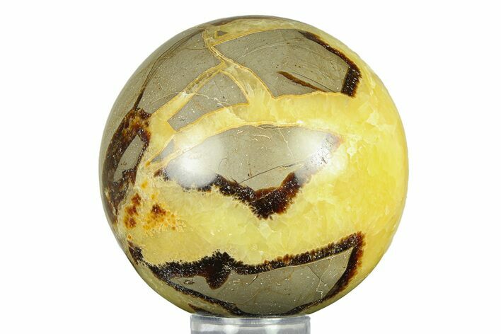 Polished Septarian Sphere - Madagascar #289927